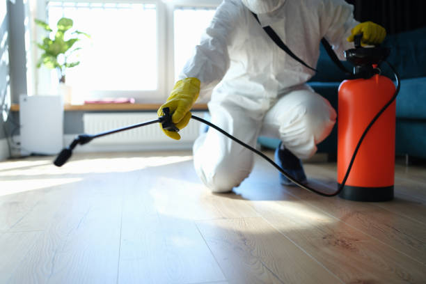 Reliable Odor Removal contractor in Welcome, NC by Trauma Clean Pros